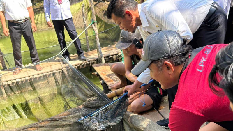 PT Sawit Mas Sejahtera Harvests 1.6 Tons of Catfish in Lahat, Supports Local Fish Self-Sufficiency Program