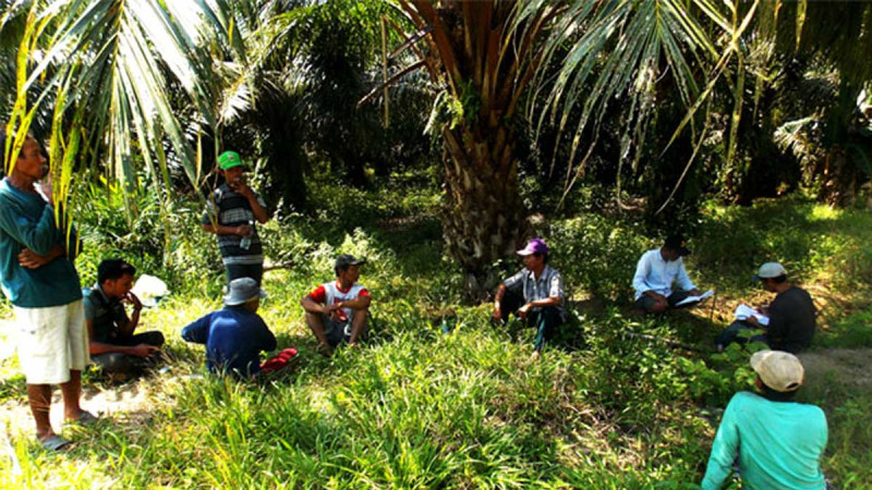 SPKS Warns Smallholders Must Not Become Victims of Indonesia’s Single Palm Oil Export Policy