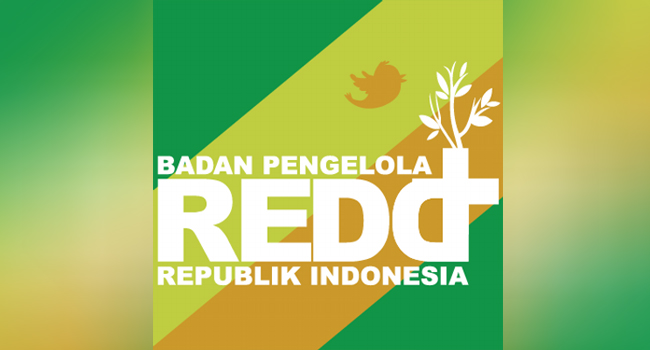 BP REDD+ Socializing FREL Document