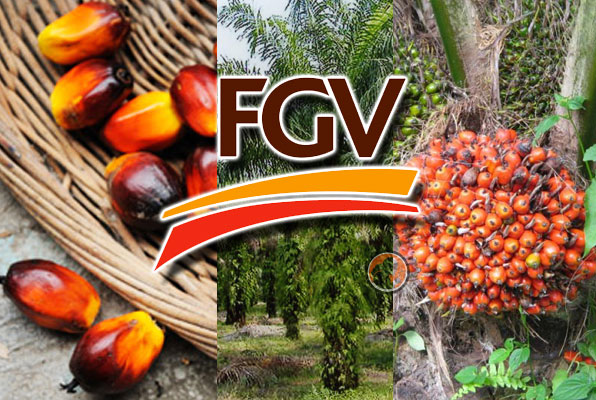 FGV Expands to China