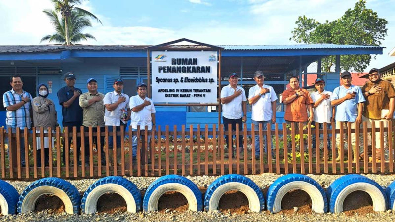 PTPN V: Innovation to Control Pests in Palm Oil Plantation by Natural Enemies