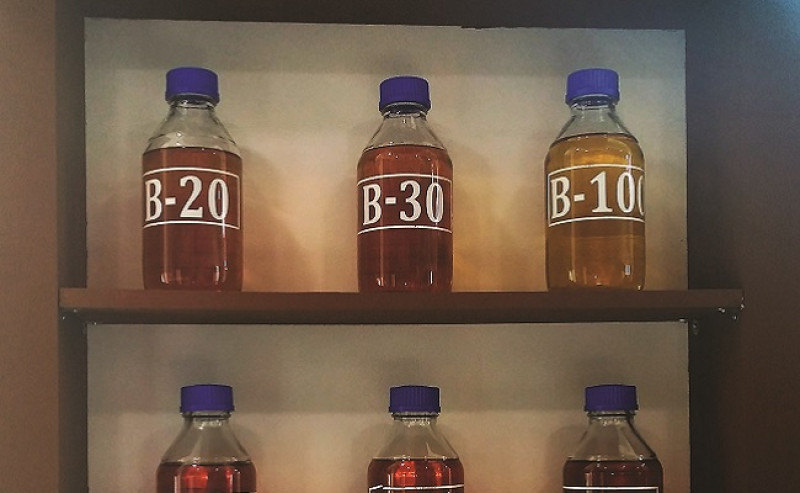 Palm Oil Biodiesel: Still the ‘Primadona’ for New Renewable Energy Development in Indonesia