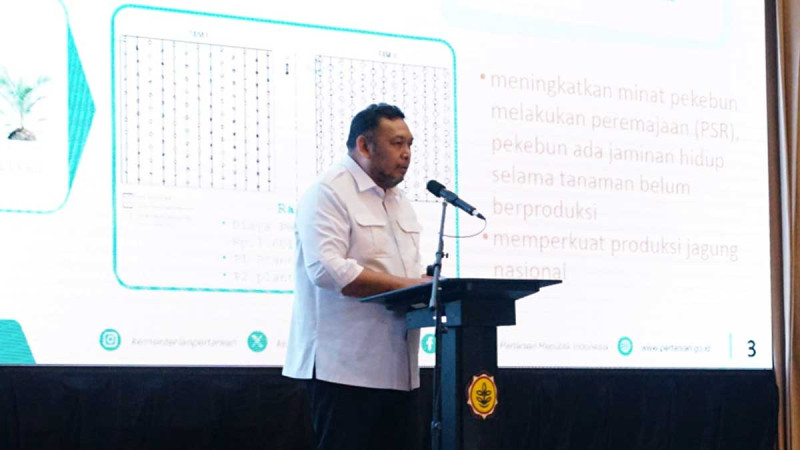 Palm Oil – Corn Integrated Program: To Solve Food Crisis Issue