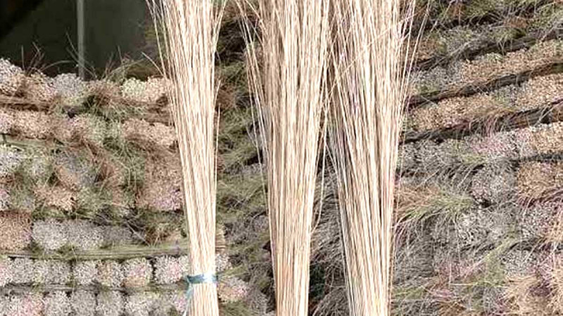 Palm Oil Sticks: The Potential to Encourage Smallholders’ Economy