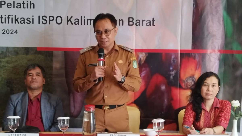 West Kalimantan Launches ISPO Certification Training to Strengthen Independent Farmers' Capacity