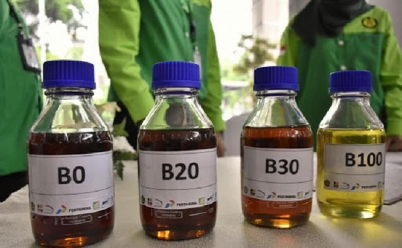 Minister of Energy Optimistic About B40 Biodiesel Program Launch in January 2025