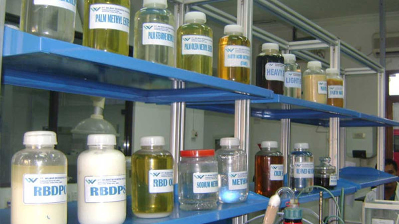 Strong Upstream Sector Essential for Advancing Indonesia’s Palm Oil Downstream Industry