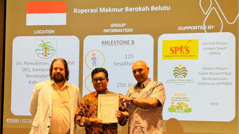 161 Independent Oil Palm Farmers of Makmur Barokah Belutu Cooperative Achieve RSPO Certification
