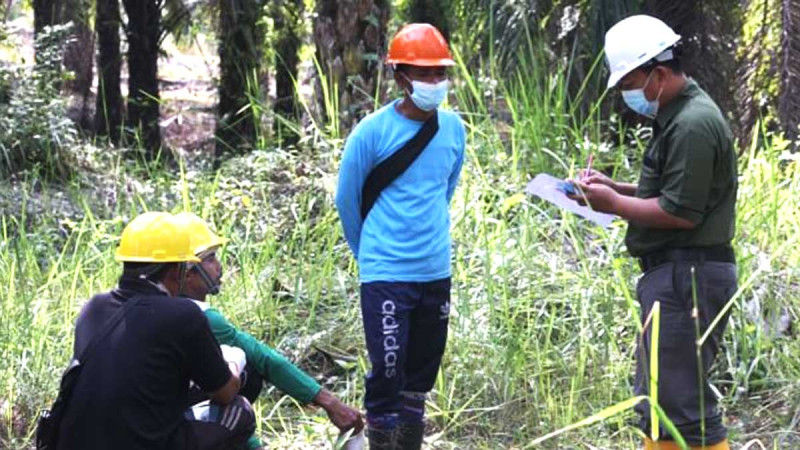 RSPO Urges Market to Recognize Real Impact of Supporting Smallholders