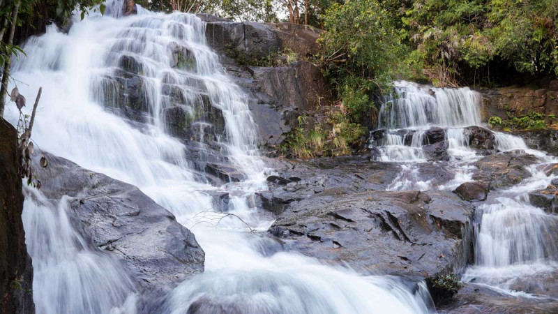 From Forest to Community: Bumitama and Villages Advance Conservation-Based Ecotourism