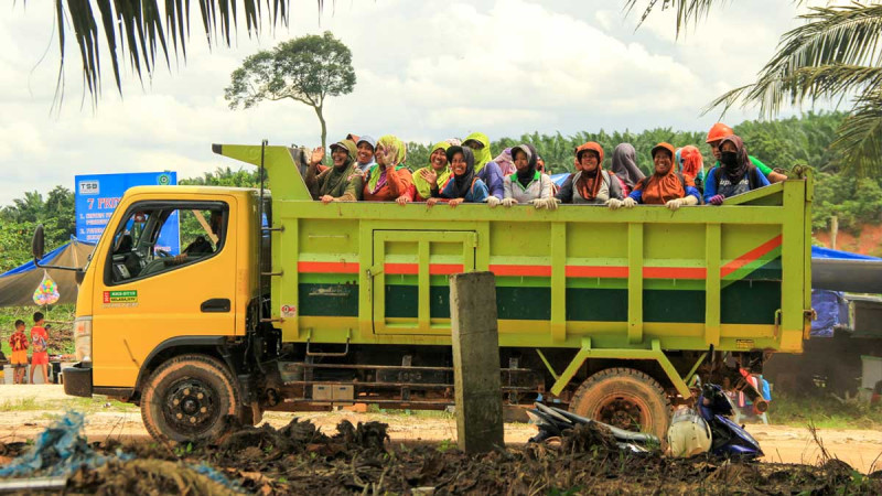 Gender Mainstreaming Becomes a Cornerstone for Sustainable Smallholder Palm Oil