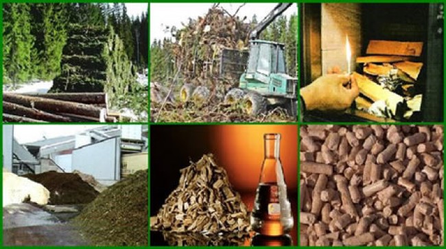 Biomass Electricity get Incentive?