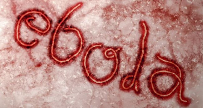 Ebola Overspreads, Sime Darby Postpones to Build POF