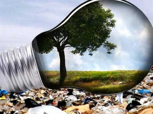 Environmentally Friendly of Biogas and Biomass