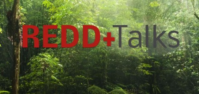 For the Good Forest Management, Riau Government Cooperate with BP REDD+