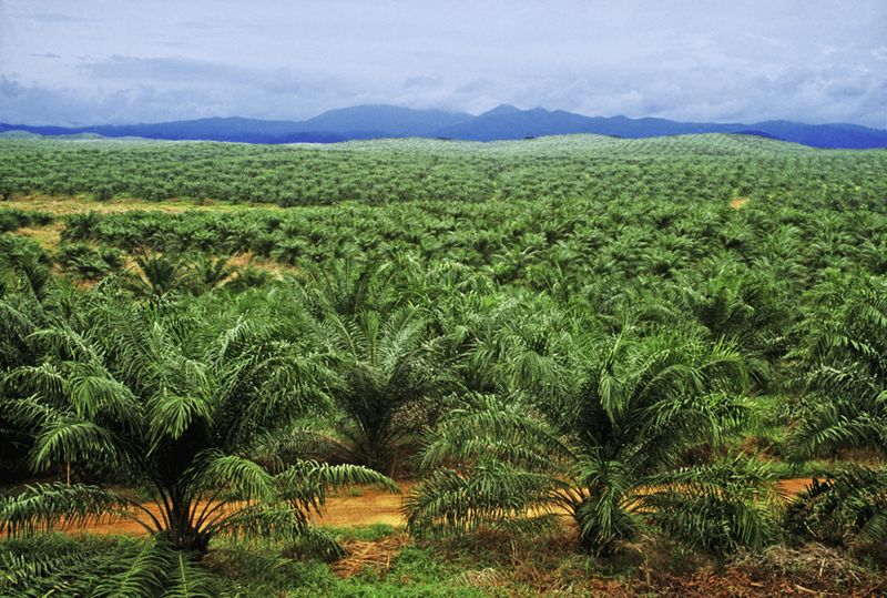Rea Kaltim Does Agreement With Kukar about the Way