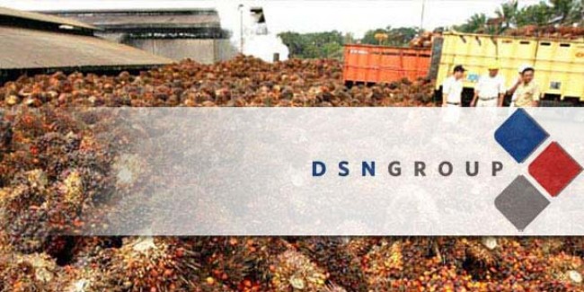 The 3rd Quarter of 2014, Net Profit of DSN Increasing By 323%