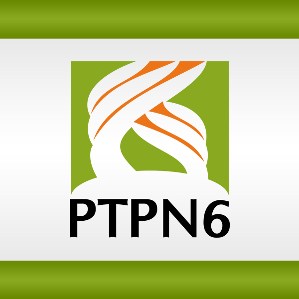 The Selling of PTPN VI Reached Rp 1,1 Billions