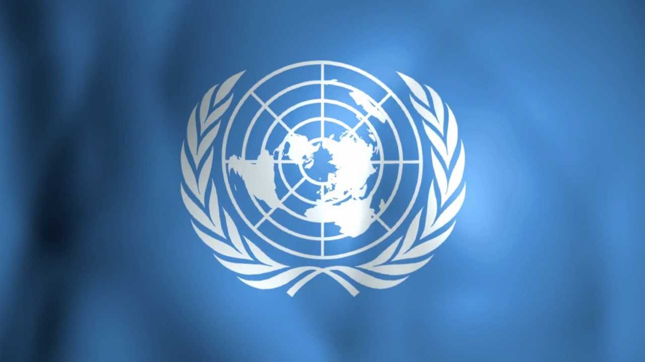 UN Gives “Special Consultative Status” in RSPO 