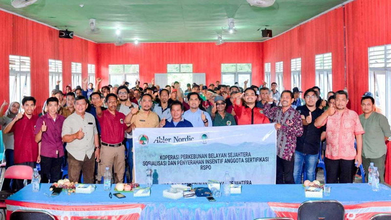 Eight Aspects that Independent Smallholders Experienced in Sustainable Palm Oil Implementation (article 2 - end)