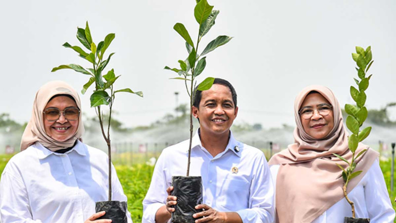 Minister of Environment and Forestry Conducted Three Meetings, including Palm Oil Plantation Goverannce in Forest Regions