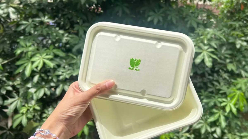 From Palm Fronds and Papaya Leaves, USU Students Create Eco-Friendly Styrofoam