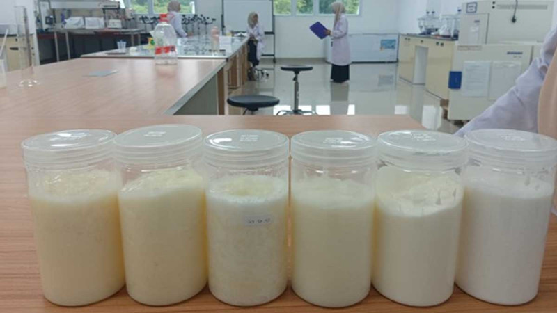 UTU Students Develop Palm Oil Bigels, A Healthy Vegetable Fat Innovation for Bakery Products