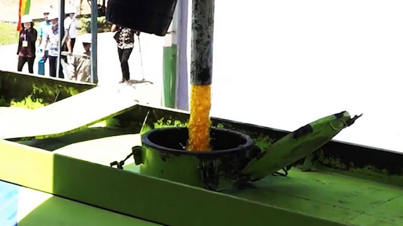 Palm Oil Market Prospects in the United States Remain Bright, Despite Declining Consumption