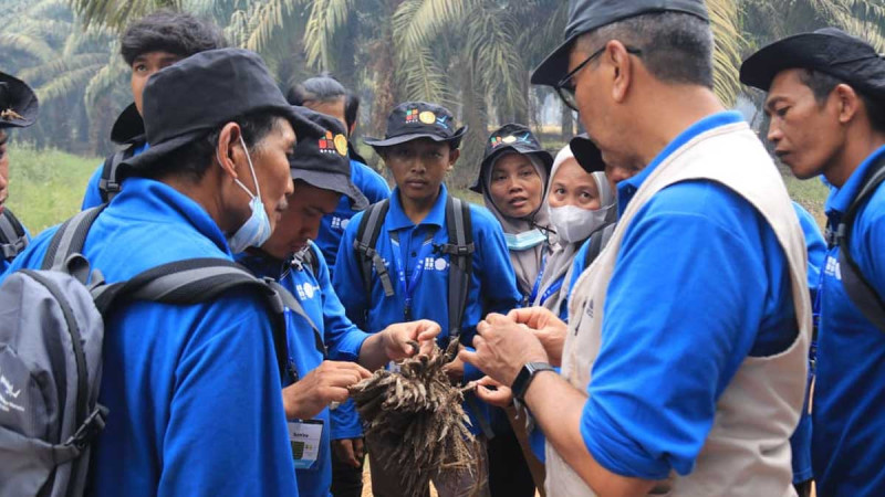 176 South Sumatra Smallholders Join Oil Palm Cultivation Training to Boost Productivity