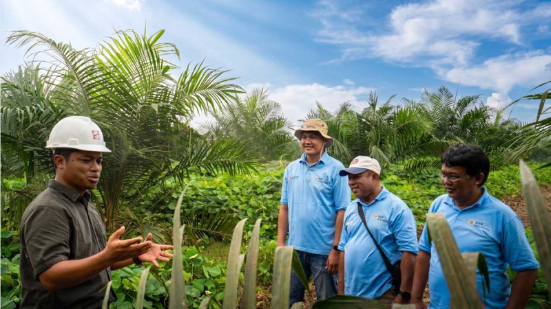 Sinar Mas Supports Palm Oil Smallholders Through Replanting, Financing and Agricultural Training