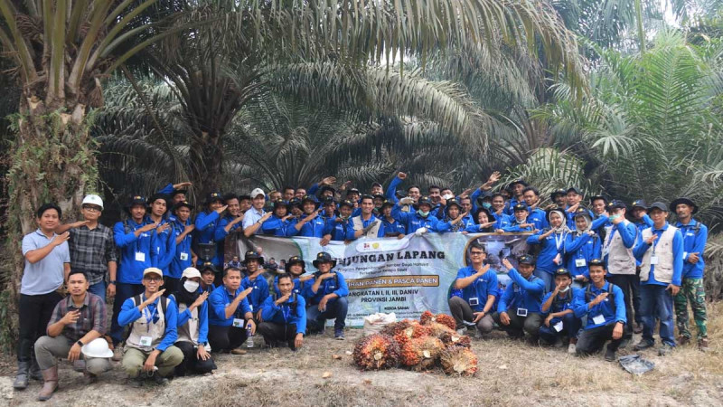 Jambi Trains 118 Oil Palm Smallholders in Harvesting and Post-Harvest Management