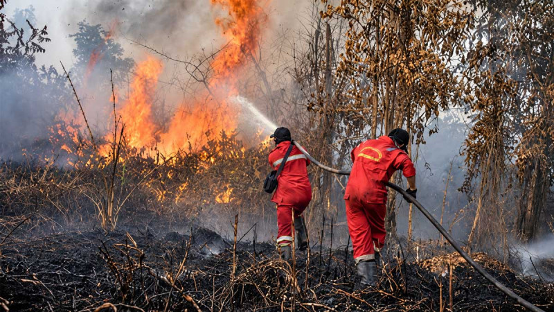 Climate Anomalies Raise Forest and Land Fire Risks, APHI Calls for Data-Driven Mitigation