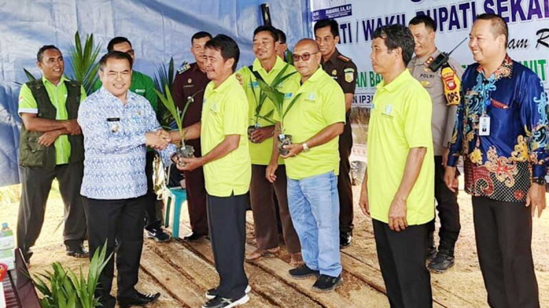 Regent of Sekadau Handed over Superior Palm Oil Seeds for 32 Smallholders’ Groups