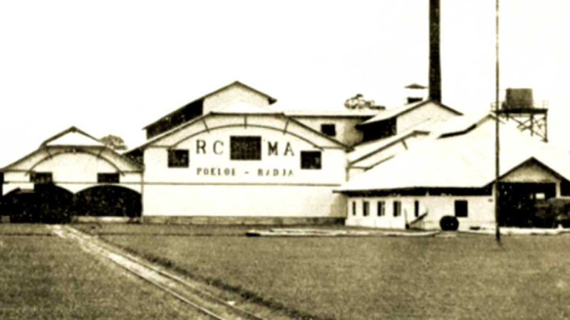 In Sumatera, The First Palm Oil Mill of the World