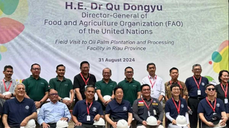 Ministry of Agriculture and FAO Increased Sustainable Palm Oil Plantation Governance in Riau