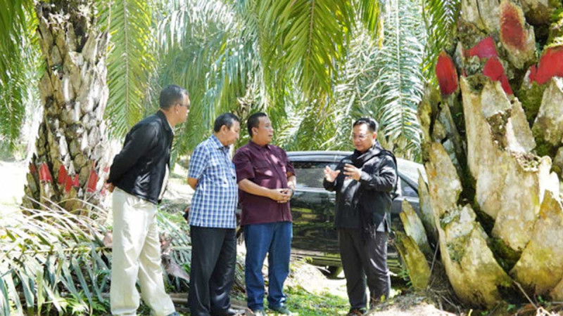 Ombudsman Launched Smallholders Replanting Program Monitoring Initiative