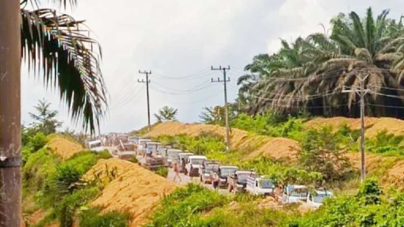Palm Oil Plantation Pillages in Central Kalimantan Happened Again, The Government Should Discipline