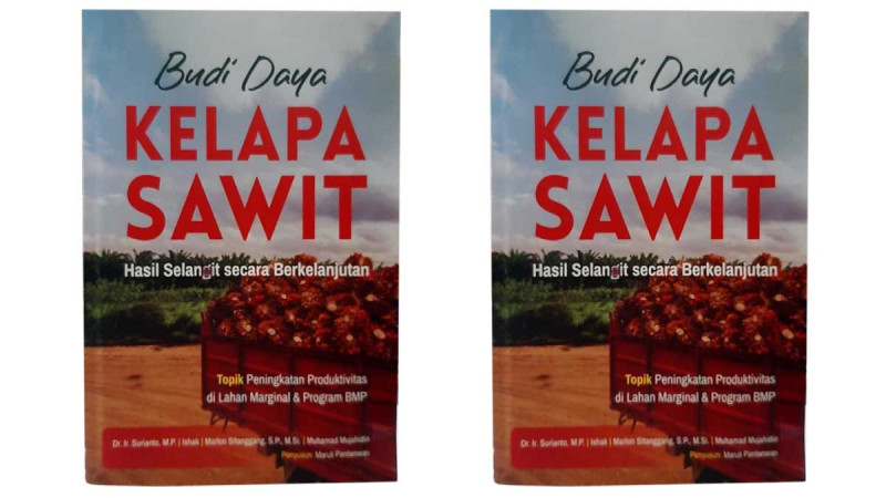 The Ways to Boost Palm Oil Productivity in Marginal Areas