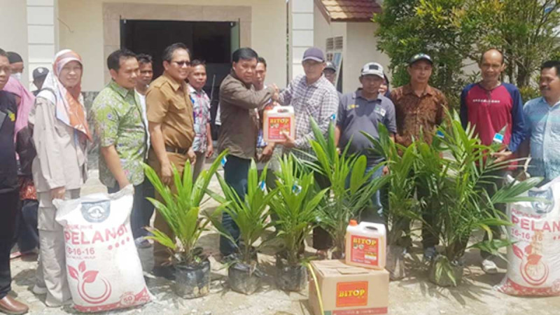East Kalimantan Plantation Agency Handed Over Palm Oil Seeds and Fertilizers for the Smallholders in Penajam Paser Utara.