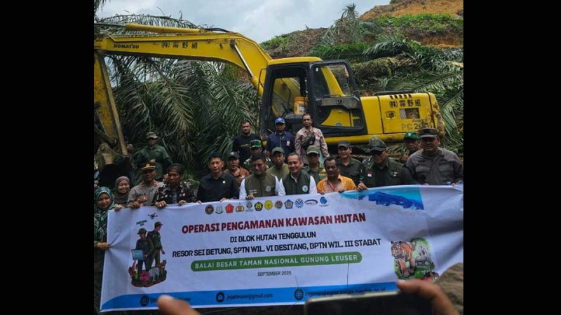 59 Hectares of Illegal Palm Oil Felled in TNGL, Government Begins Forest Restoration