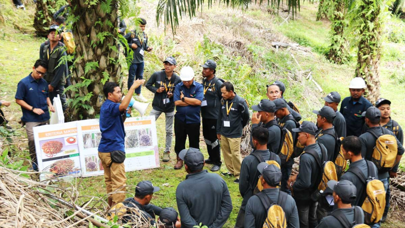 111 Palm Oil Farmers in Aceh Tamiang and East Aceh Trained to Manage Plantations Professionally