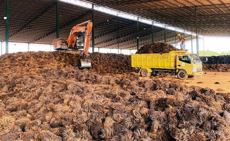 Polinela Lecturers Develop Briquettes from Mushroom and Palm Waste