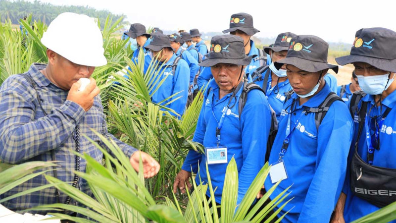 174 Smallholders from South Sumatra Receive Palm Oil Cultivation Training in Palembang