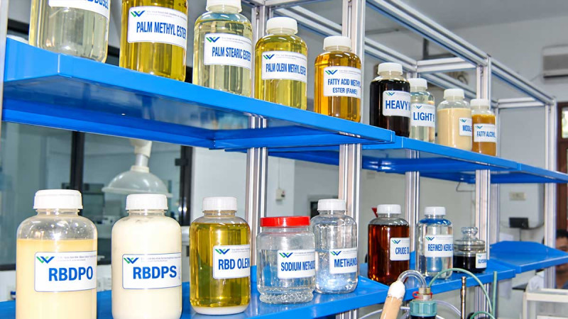 BRIN Calls for Research-Driven Diversification of Indonesia’s Downstream Palm Oil Products