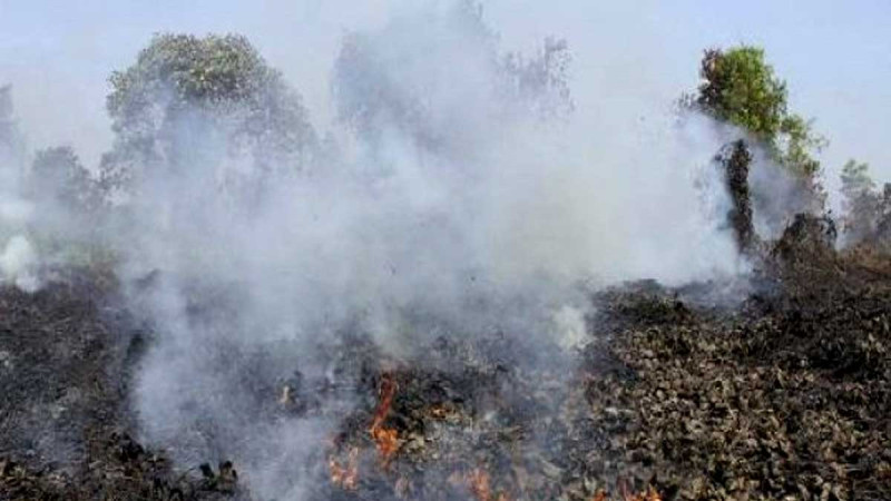 Indonesia Tightens Ban on Land Clearing by Burning Under Presidential Instruction No. 11/2026