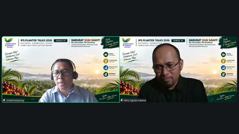 Wage Transparency Key to Retaining Palm Oil Harvesters