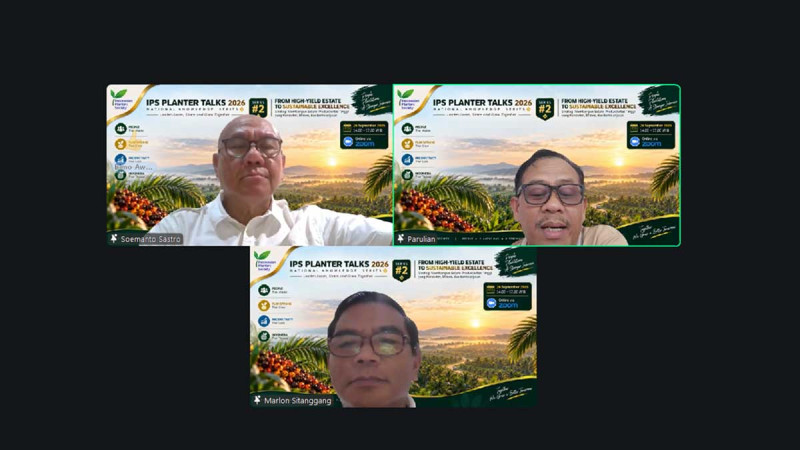 Effective Harvesting Strategies Seen as Key to Sustainable Palm Oil Productivity