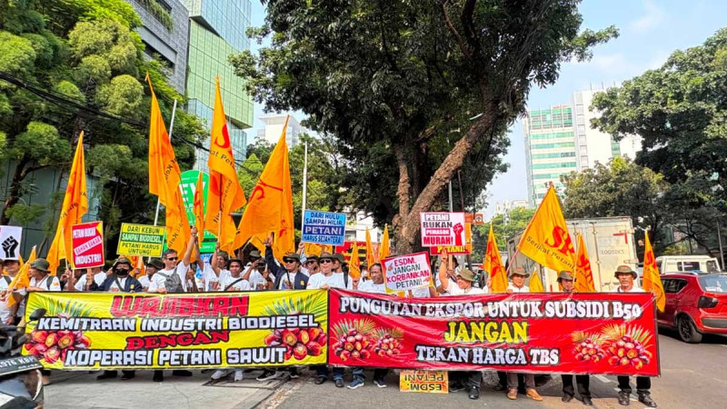 Indonesian Palm Oil Farmers Seek Greater Role in B50 Biodiesel Supply Chain